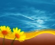 Papel de Parede Flores de Verão