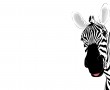 Papel de Parede Zebra em Arte Gráfica