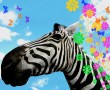 Papel de Parede Zebra Florida