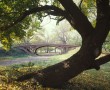 Papel de Parede Central Park – Nova York
