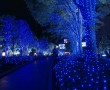 Papel de Parede Japão – Natal em Tokio