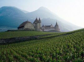Papel de parede 'Europa: Campo e Casa'