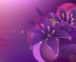 Papel de Parede Flor Violeta