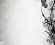 Papel de Parede Fundo Branco Com Flores Pretas