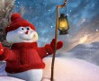Papel de Parede Homem de Neve 3D