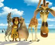 Papel de Parede Madagascar: Alex, Marty, Melman e Glória