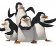 Papel de Parede Pinguins Madagascar