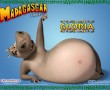 Papel de Parede Madagascar: Gl贸ria Hipopot谩ma