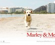 Papel de Parede Marley e Eu