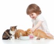 Papel de Parede Menina Alimentando Gatos