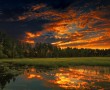 Papel de Parede Pôr-Do-Sol na Floresta