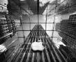 Papel de Parede Quarteirão da Apple