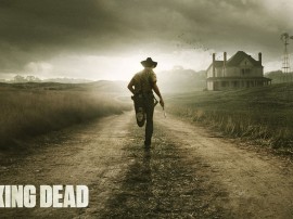 Papel de parede 'The Walking Dead: Série'