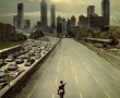 Papel de Parede The Walking Dead: Sucesso