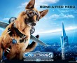 Papel de Parede Bone a Fied Hero – Como Cães e Gatos