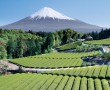 Papel de Parede Japão – Incrível Monte Fuji