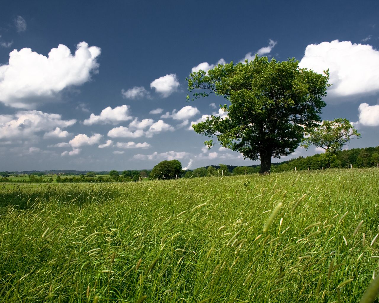 campo incolto banca della terra toscana pec
