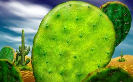 Papel de Parede Cactus