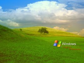Papel de Parede Windows Papel de Parede Windows