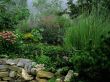 'Paisagem' papel de parede, imagem gr�tis