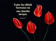 'Eclesiastes 3:11' papel de parede, imagem gr�tis