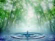 'Gota na �gua' papel de parede, imagem gr�tis