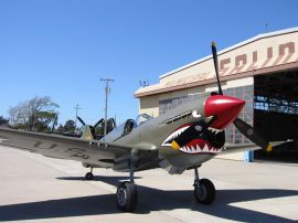 Curtiss P-40 2573_270