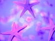 'Estrelas do mar' papel de parede, imagem gr�tis