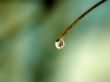'Gota de �gua' papel de parede, imagem gr�tis