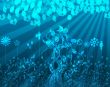 'Nova Natureza' papel de parede, imagem gr�tis
