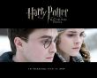 'Harry e Hermione' papel de parede, imagem gr�tis