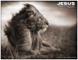 'Jesus - Le�o da Tribo de Jud�' papel de parede, imagem gr�tis