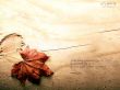 'Crossmap 7' papel de parede, imagem gr�tis