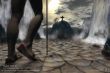 'Salmo 141:8' papel de parede, imagem gr�tis
