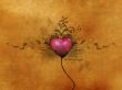 'N�o deixe o amor escapar' papel de parede, imagem gr�tis