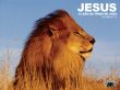 'Jesus - le�o da tribo de Jud�' papel de parede, imagem gr�tis