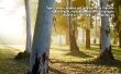 'Colossenses 3:8' papel de parede, imagem gr�tis