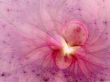 'Arte rosa' papel de parede, imagem gr�tis