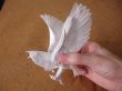 'Origami - �guia' papel de parede, imagem gr�tis