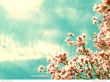 'Flores do C�u' papel de parede, imagem gr�tis