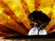'Natureza Art�stica' papel de parede, imagem gr�tis