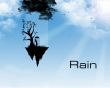'Chuva' papel de parede, imagem gr�tis