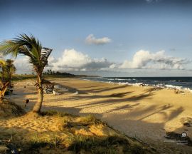 Papel de parede 'Mar, Areia, Natureza'