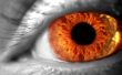 'Olhos coloridos' papel de parede, imagem gr�tis