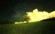 '�rvore e Nuvens' papel de parede, imagem gr�tis
