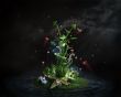 'Diferente' papel de parede, imagem gr�tis