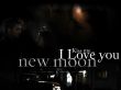 'Edward e Bella - I love you' papel de parede, imagem gr�tis