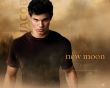 'Jacob Black' papel de parede, imagem gr�tis