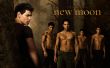 'Jacob e os Lobisomens' papel de parede, imagem gr�tis
