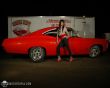 'Impala' papel de parede, imagem gr�tis